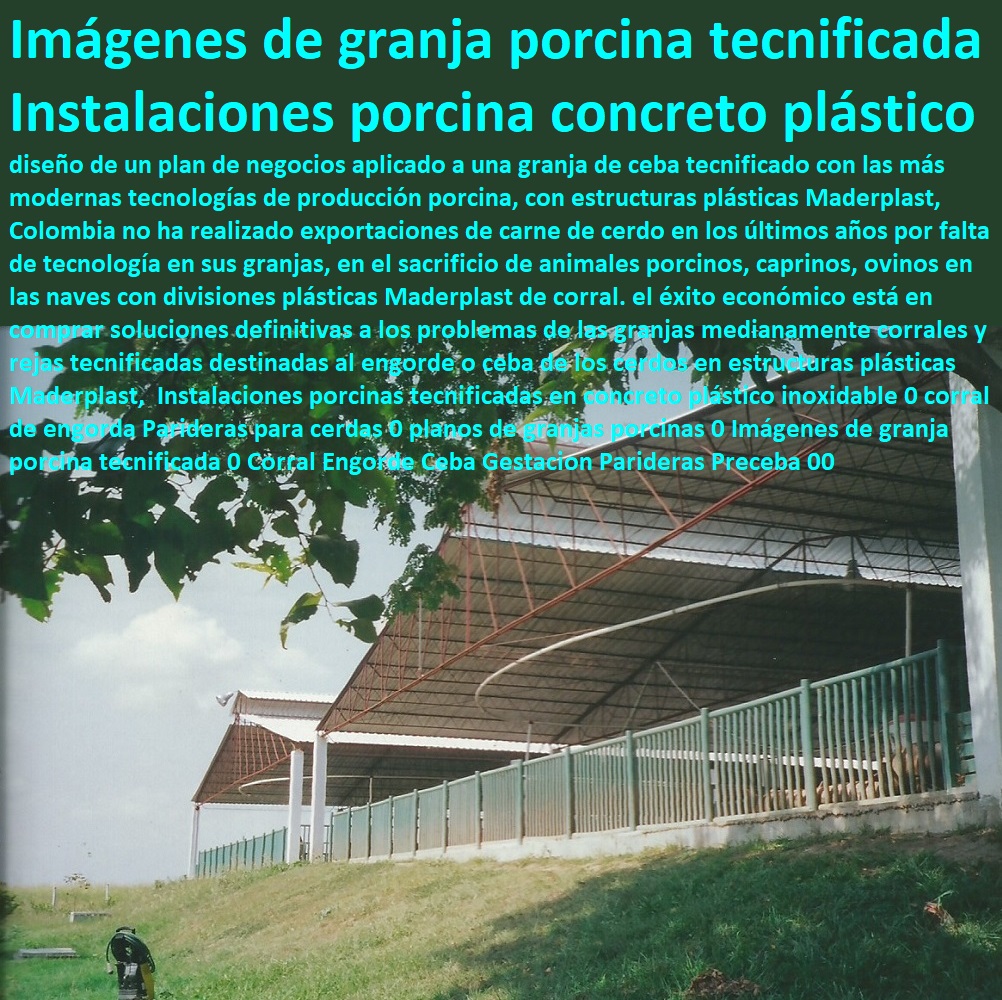 Instalaciones porcinas tecnificadas en concreto plástico inoxidable 0 corral de engorda Parideras para cerdas 0 planos de granjas porcinas 0 Imágenes de granja porcina tecnificada 0 Corral Engorde Ceba Gestacion porcicultura jaulas, corrales, parideras, porcinas corral, gestación cerdas, parto cerda, lechonera, destete, jaula pre ceba porcinos, corraleja, ceba, engorde cerdos, porqueriza cría de lechones, pisos jaulas comederos, Parideras Preceba 00 Instalaciones porcinas tecnificadas en concreto plástico inoxidable 0 corral de engorda Parideras para cerdas 0 planos de granjas porcinas 0 Imágenes de granja porcina tecnificada 0 Corral Engorde Ceba Gestacion Parideras Preceba 00